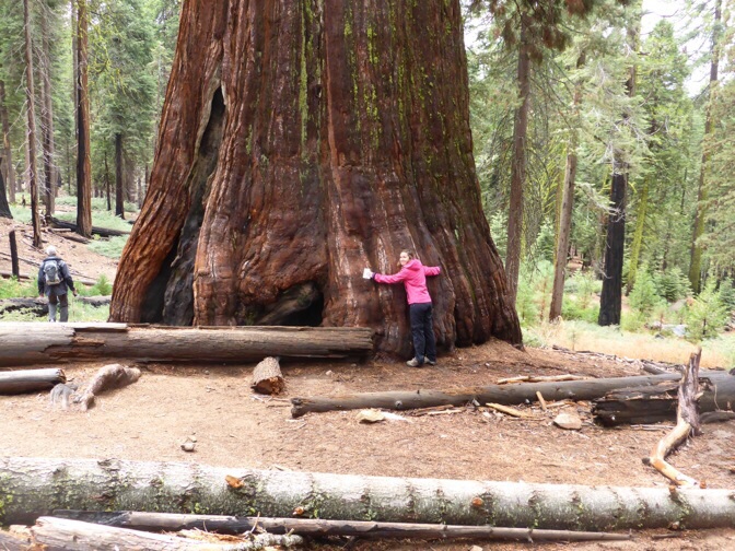 Why you should visit Yosemite once in your life