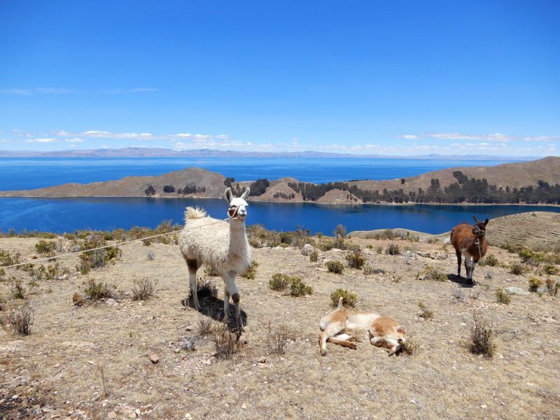 Copacabana and Isla del Sol