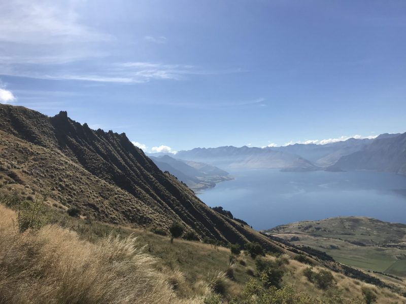 New Zealand Road Trip: Week 3