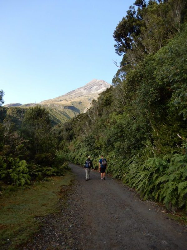 New Zealand Road Trip