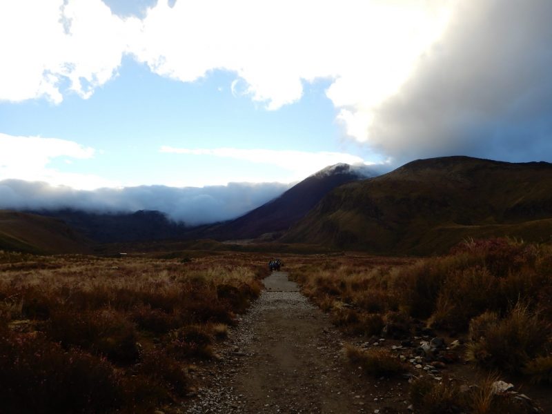 New Zealand Road Trip