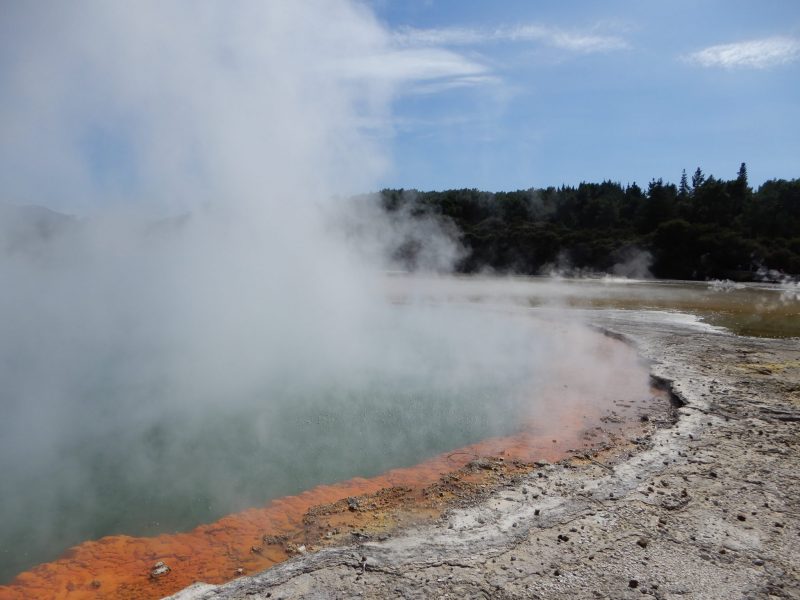 New Zealand Road Trip