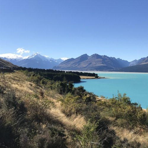New Zealand Road Trip: Week 4