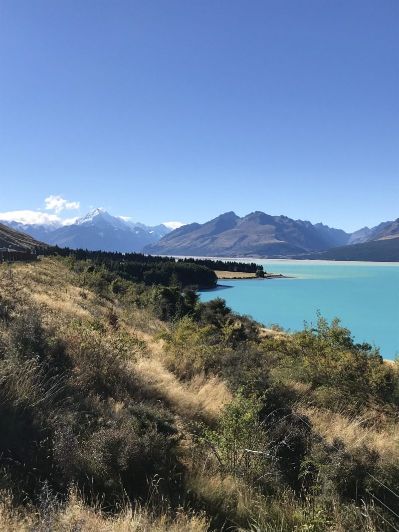 New Zealand Road Trip: Week 4