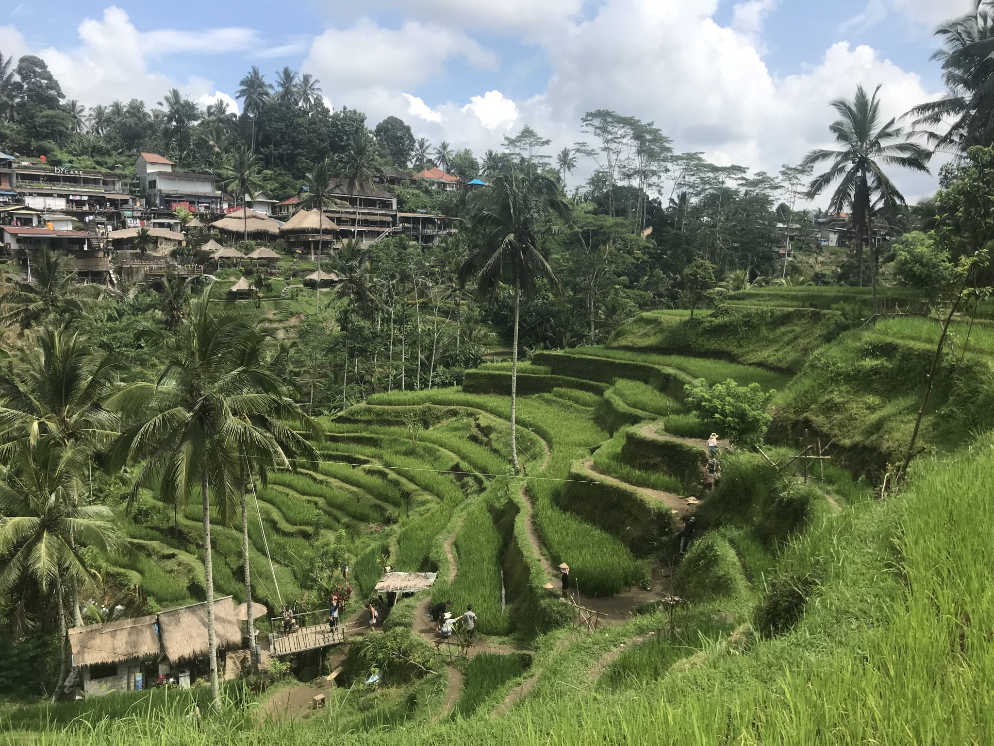 Exploring Bali: Seminyak, Canggu and Ubud - Wonders of Traveling