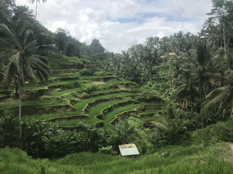 Bali