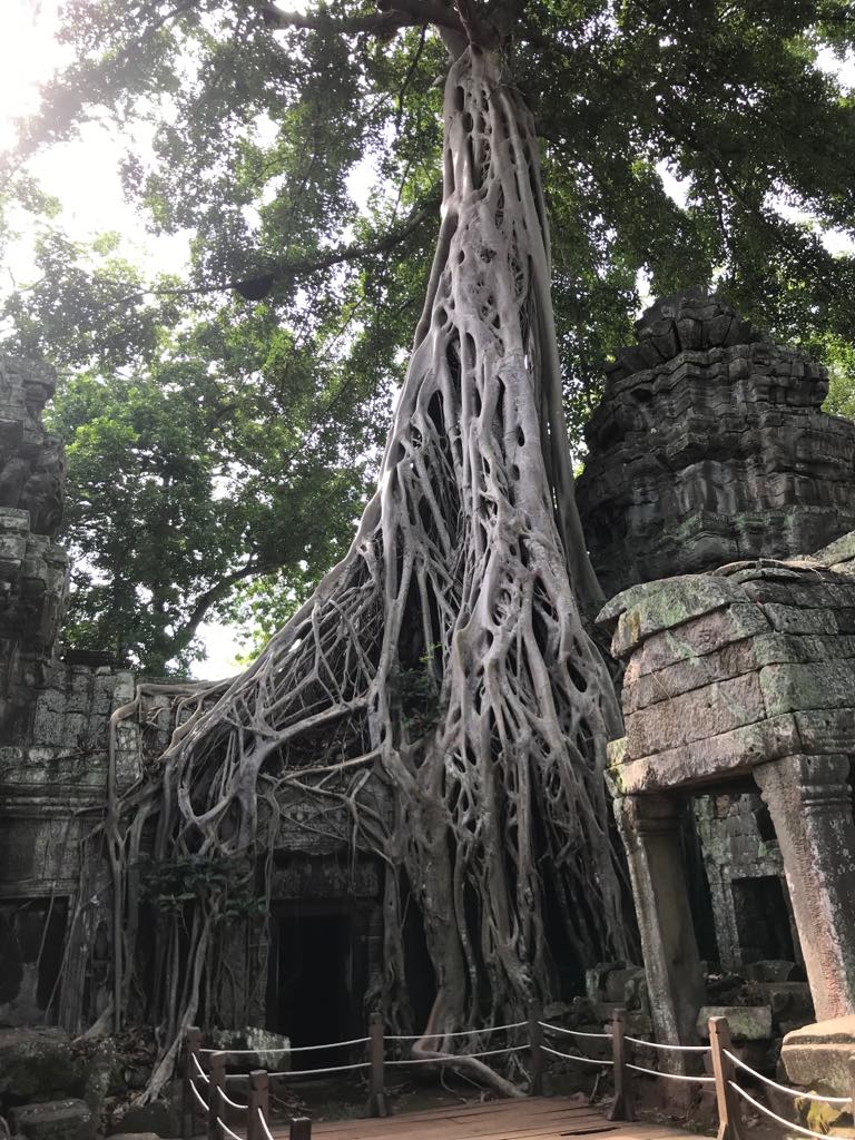 angkor wat